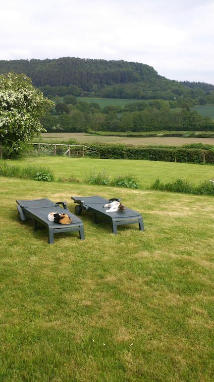Upper Letton Farm Bed & Breakfast Leintwardine Luaran gambar