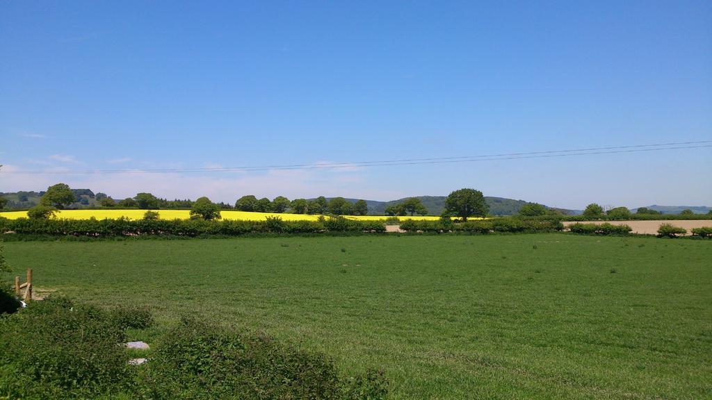 Upper Letton Farm Bed & Breakfast Leintwardine Luaran gambar