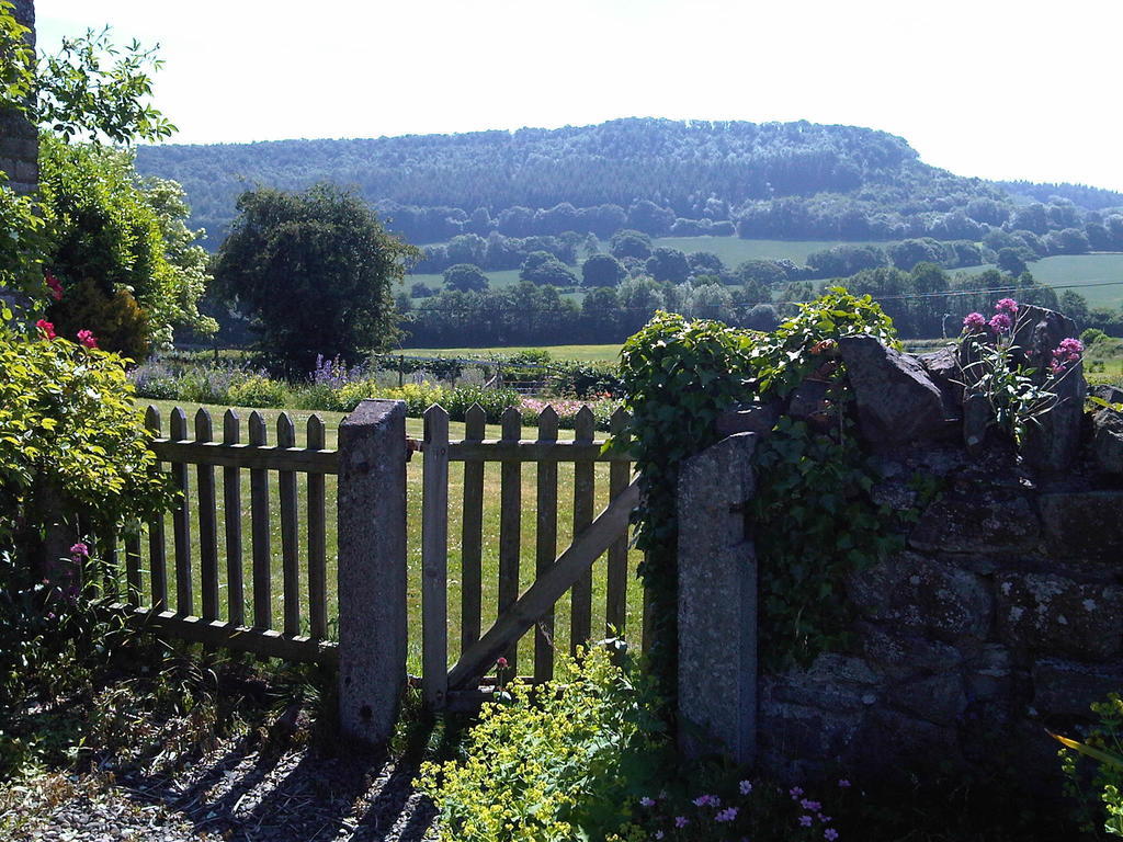 Upper Letton Farm Bed & Breakfast Leintwardine Luaran gambar