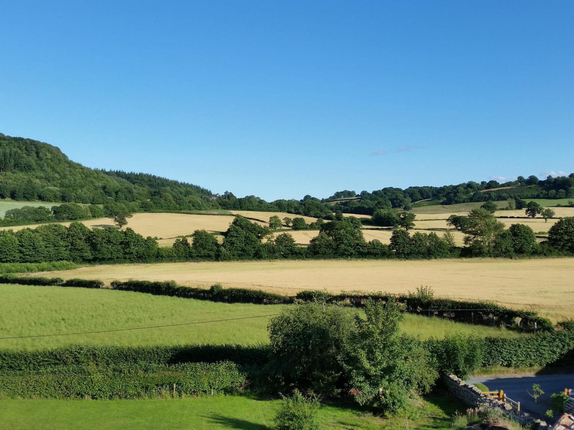 Upper Letton Farm Bed & Breakfast Leintwardine Luaran gambar